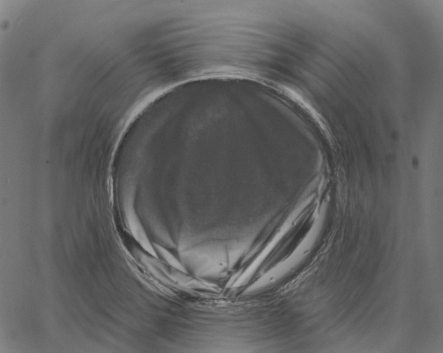 X0000062141372200601060912