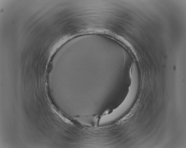 X0000062141373200601060912