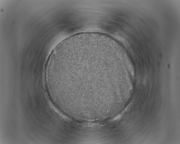 X0000062141374200601060912