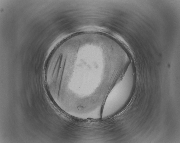 X0000062141376200601060912