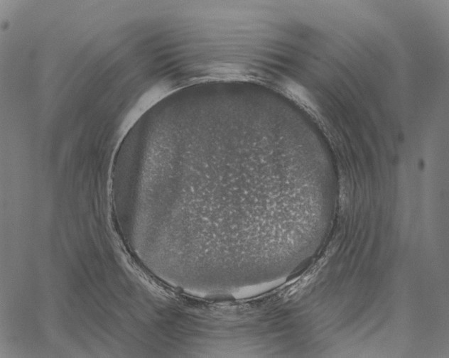 X0000062141378200601060912