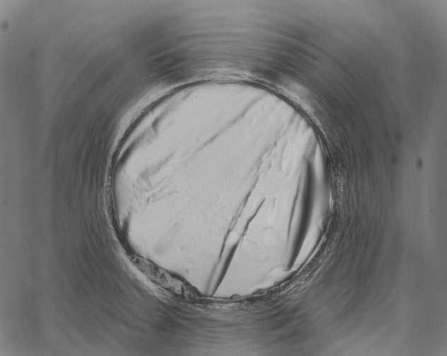 X0000062141379200601060912