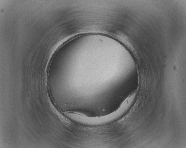 X0000062141380200601060912