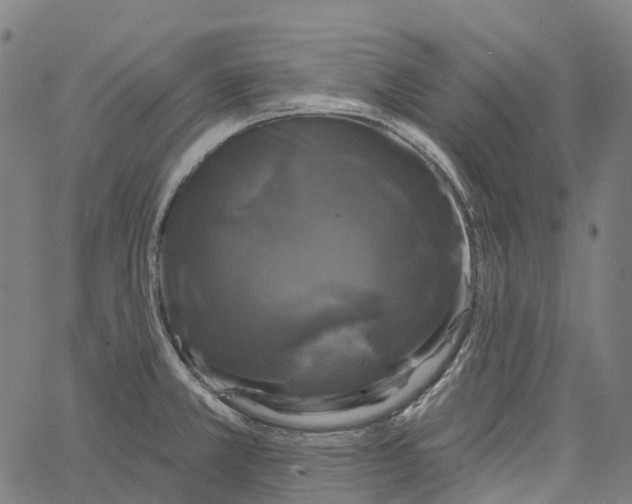 X0000062141381200601060912