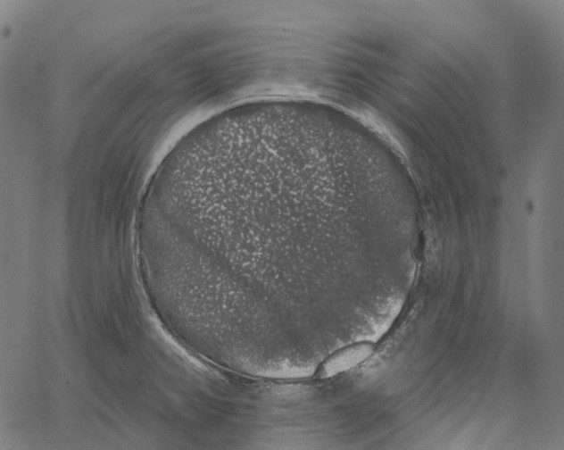 X0000062141382200601060912