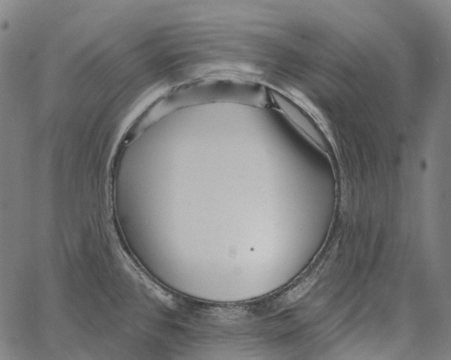 X0000062141384200601060912