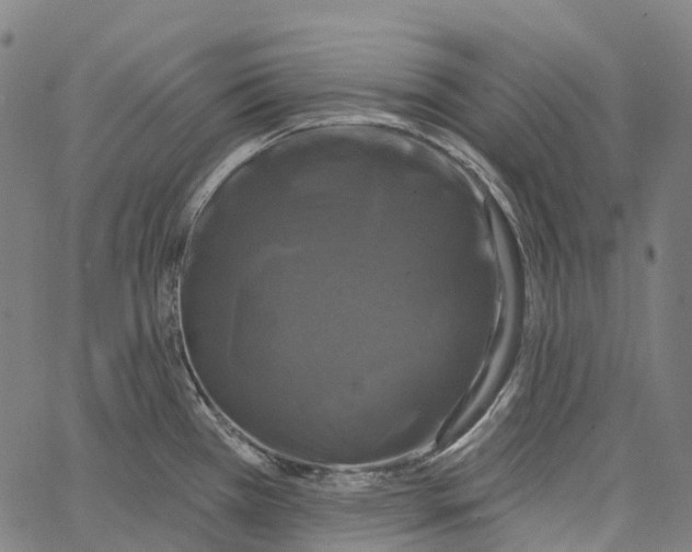 X0000062141385200601060912