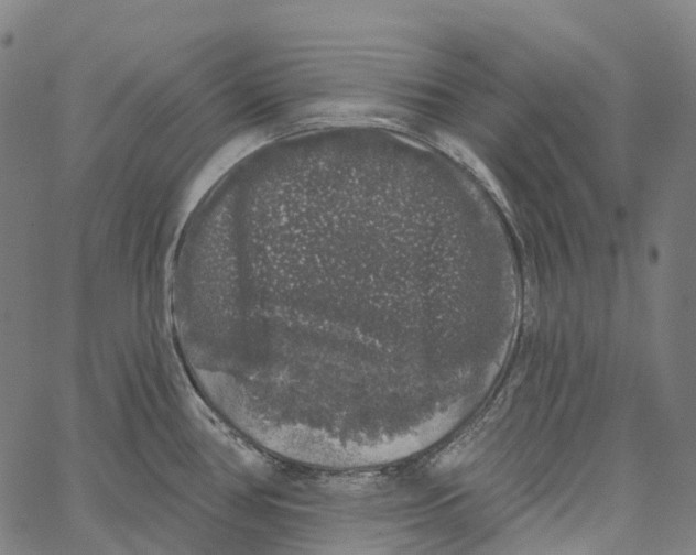 X0000062141386200601060912