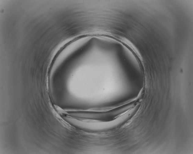 X0000062141388200601060912