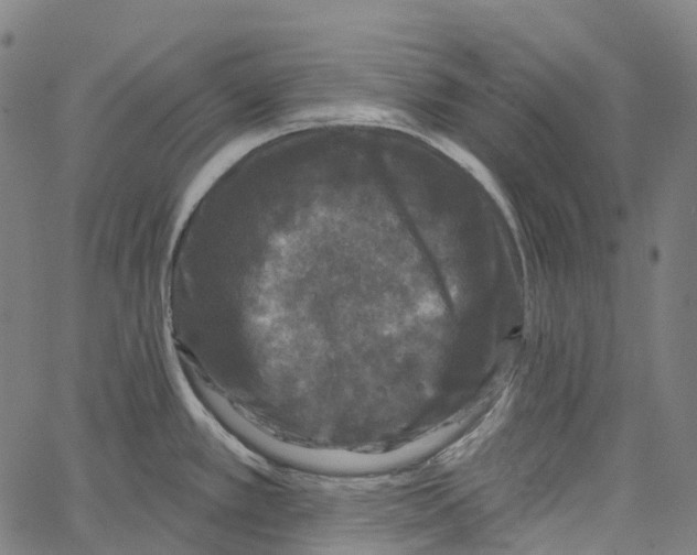 X0000062141389200601060912