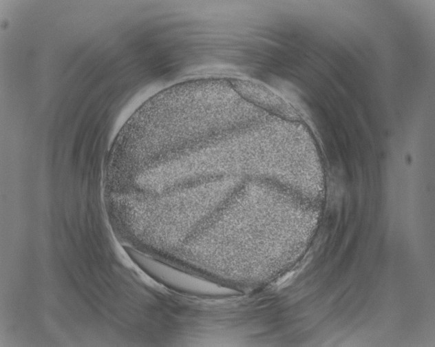 X0000062141390200601060912