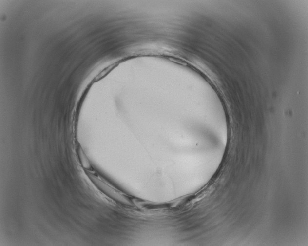 X0000062141392200601060912