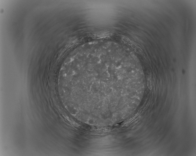 X0000062141393200601060911