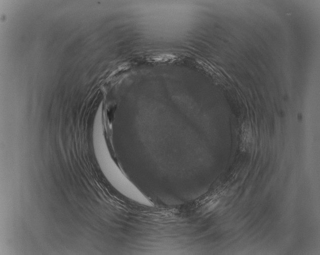 X0000062141394200601060911