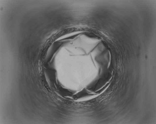 X0000062141398200601060911