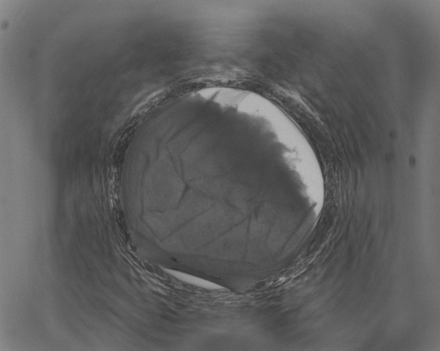 X0000062141399200601060911