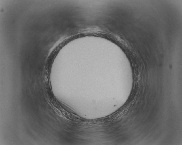 X0000062141400200601060911