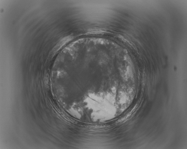 X0000062141401200601060911