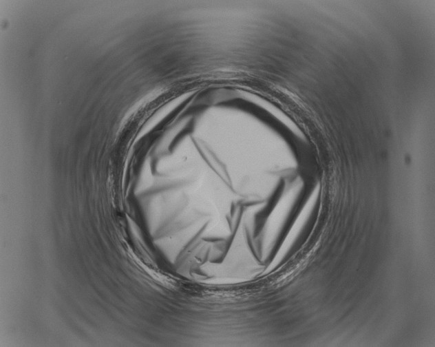 X0000062141402200601060911