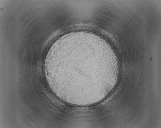 X0000062141403200601060911