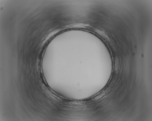 X0000062141404200601060911