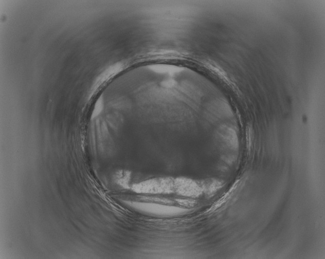 X0000062141405200601060911