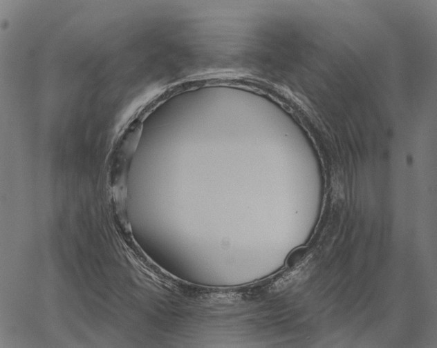 X0000062141406200601060911