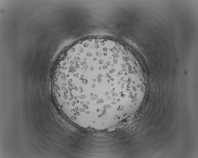 X0000062141408200601060911