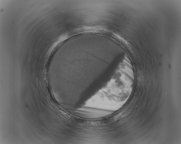 X0000062141411200601060911