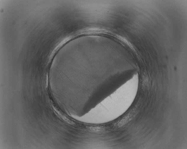 X0000062141413200601060911