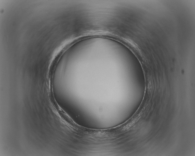 X0000062141414200601060911