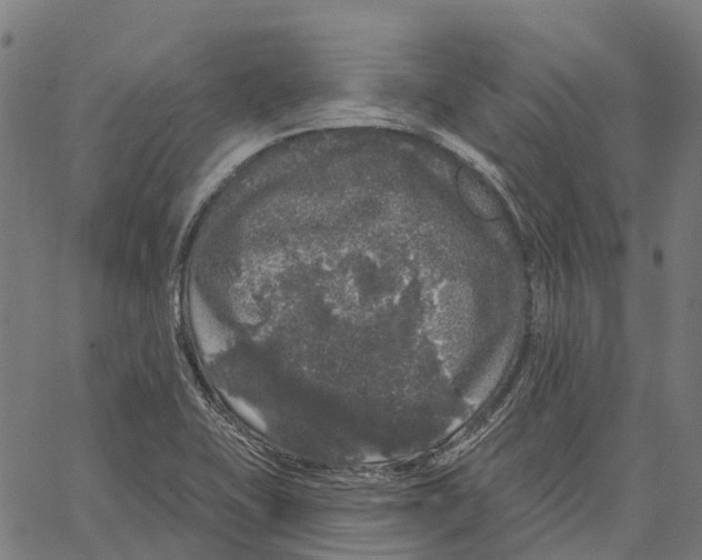 X0000062141415200601060911