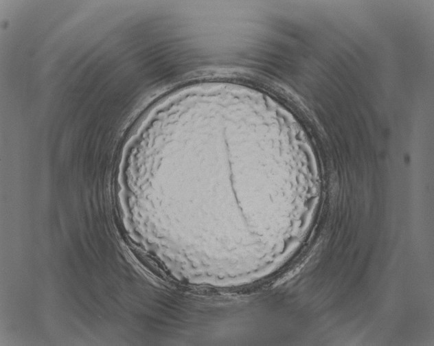 X0000062141417200601060911