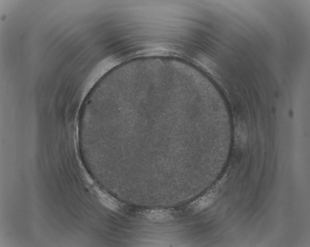 X0000062141418200601060911