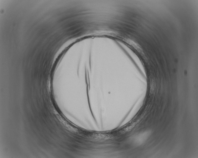 X0000062141420200601060911