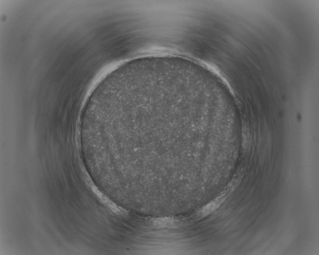 X0000062141421200601060911