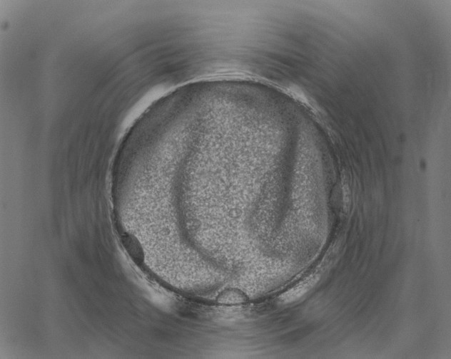 X0000062141422200601060911