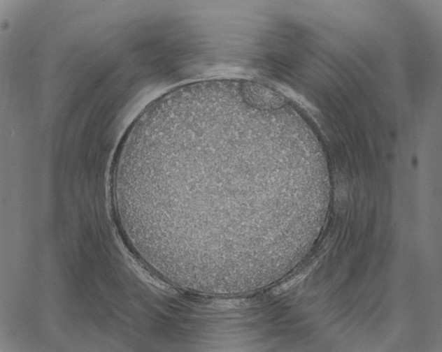 X0000062141423200601060911