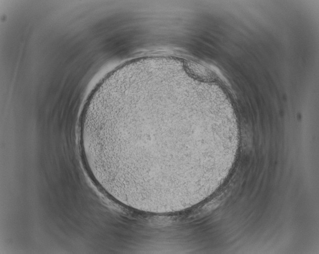 X0000062141424200601060911