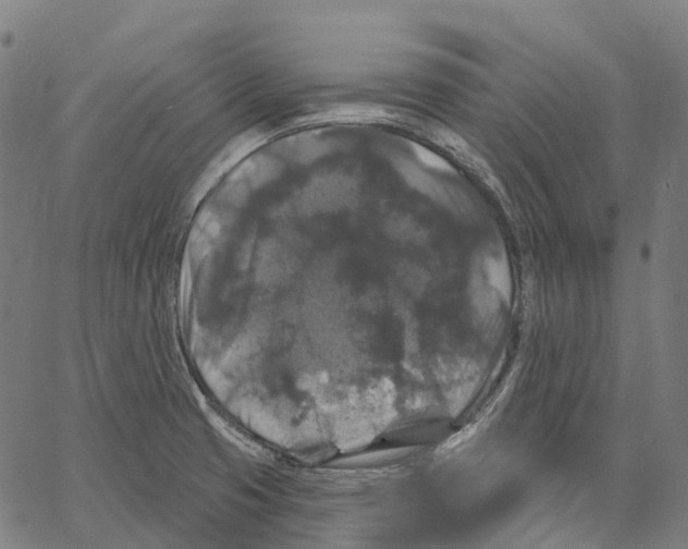 X0000062141425200601060911