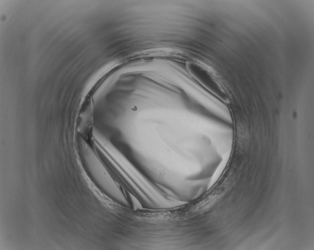 X0000062141426200601060911