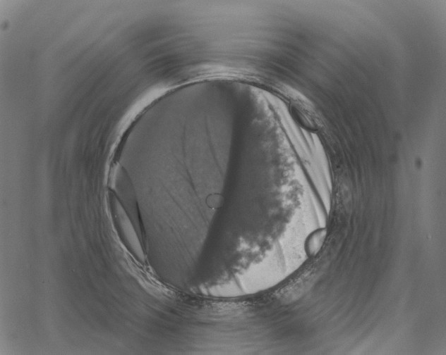 X0000062141427200601060911