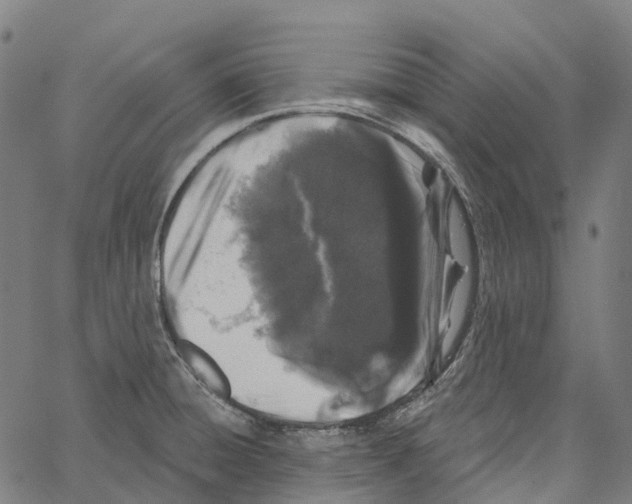 X0000062141428200601060911