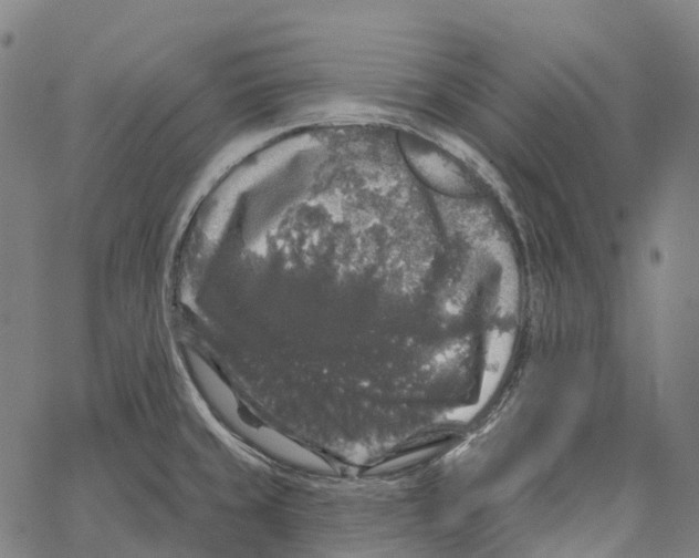 X0000062141429200601060911