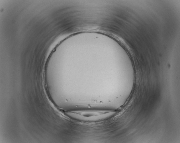 X0000062141432200601060912