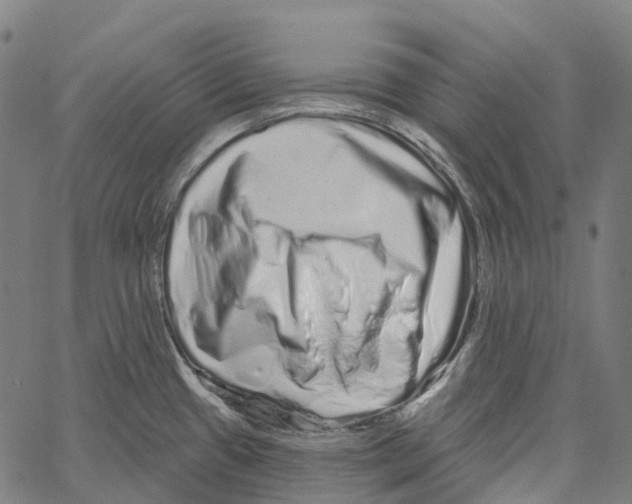 X0000062141433200601060912