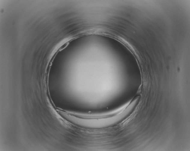 X0000062141434200601060912