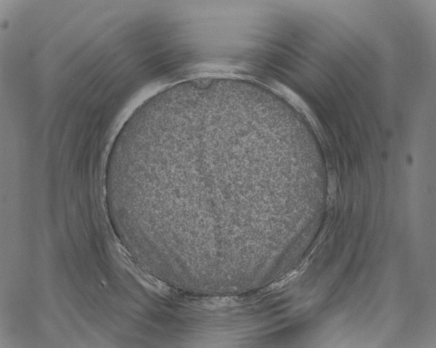 X0000062141435200601060912