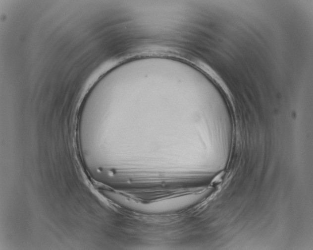 X0000062141437200601060912