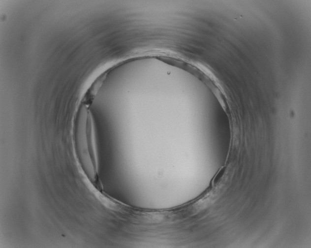 X0000062141438200601060912